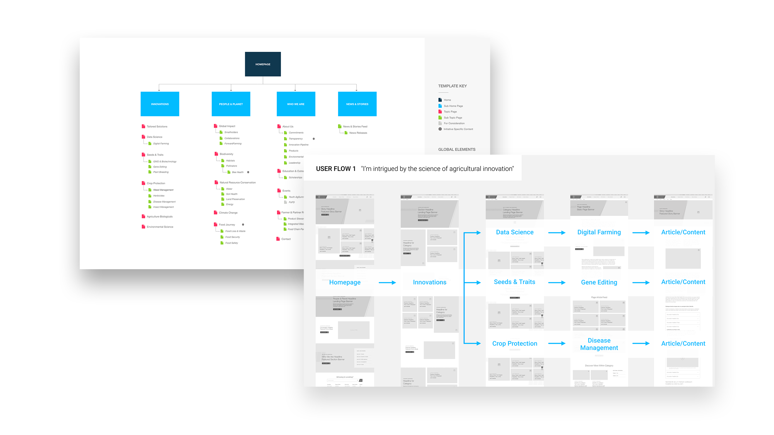 BCS_Comps_sitemap_userflows